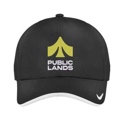Nike Dri-Fit Perforated Performance Cap