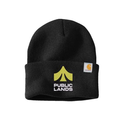 Carhartt Watch Cap 2.0